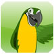 icon-phpFreeChat free chat